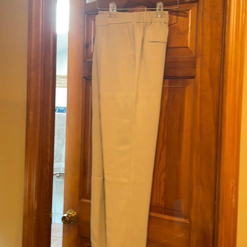 Anne Taylor beige polyester dress pants with stretch waist. Wore once.